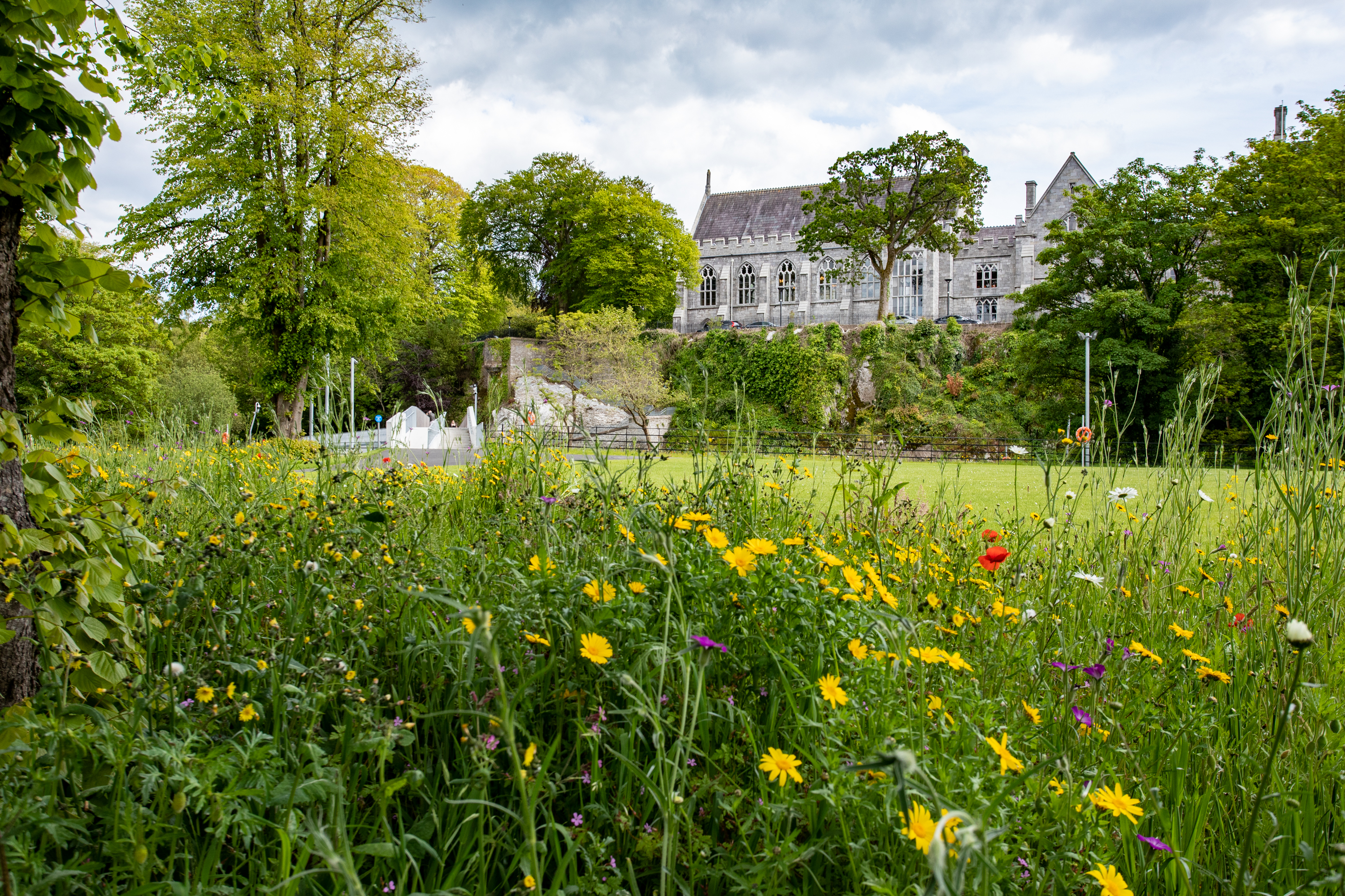 Marie Sklodowska-Curie Postdoctoral Fellowship - Expression of Interest
