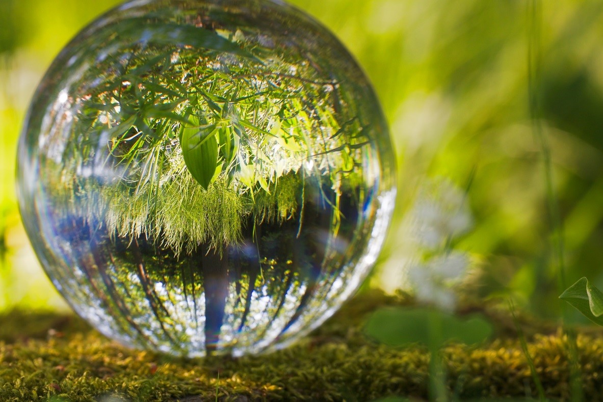 Exciting Programme of Speakers Announced Ahead of Postgraduate Research Symposium on Environmental Law