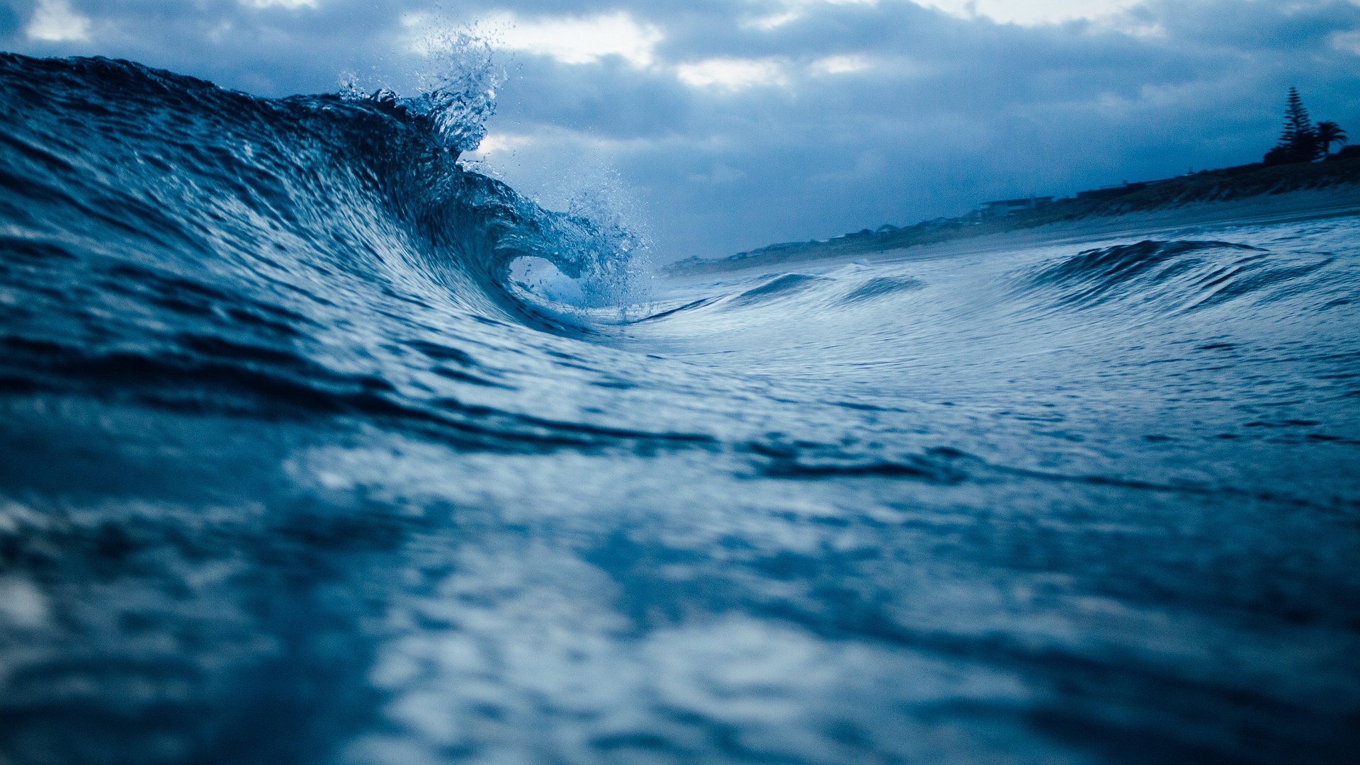 New Funded PhD Studentship in Marine Environmental Law Launched at UCC School of Law