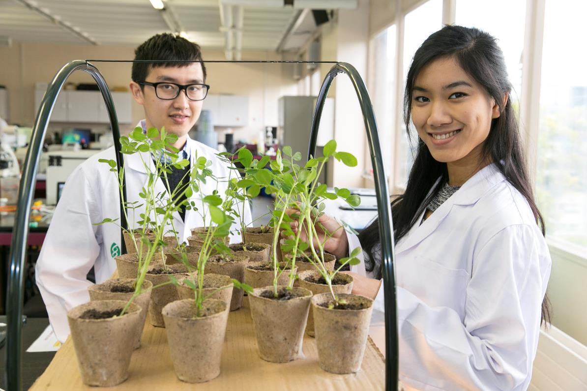 Students in laboratory