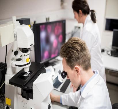 Students in laboratory