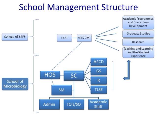 Organogram – School Management Structure
