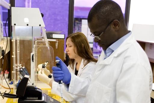 Students in laboratory