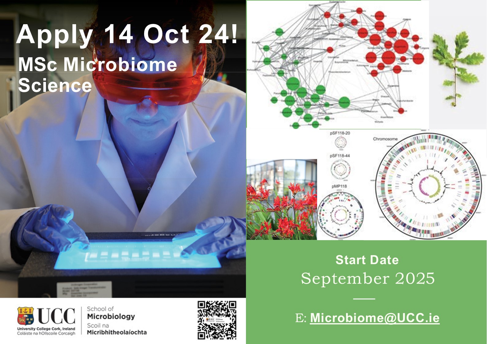 Poster for new programme, MSc in microbiome science