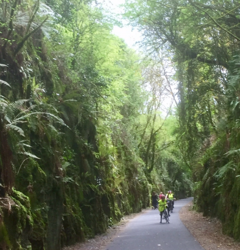 Students cycling on the Greenway in Dungarvan, Co. Waterford