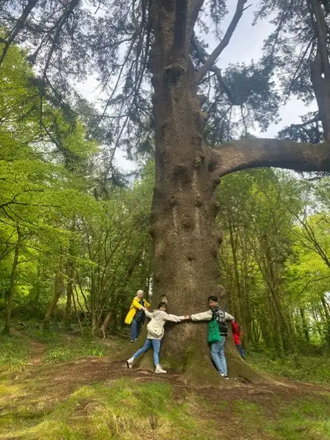 Students Hugging tree in Castlefreke Woods