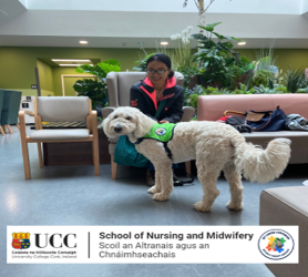 My Canine Companion (MCC) Anna, the Glandore Suite waiting room dog with My Linh Truong, 4th year student nurse, School of Nursing & Midwifery.