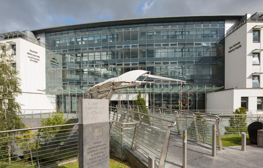 Vacancy:  Senior Lecturer / Consultant Obstetrician & Gynaecologist in Cork University Maternity Hospital