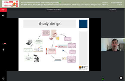 Zoom screen presentation 