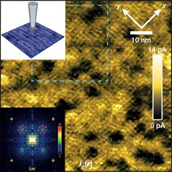 Quantum Matter Graphs