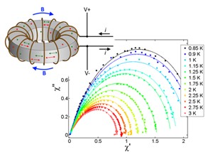 quantum graph