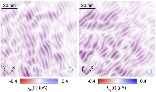 Nematic Pair Density Wave State in Bi2Sr2CaCu2O8+x