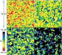 quantum images