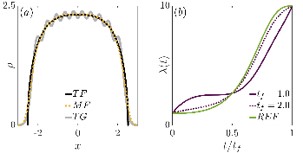 Published Paper 