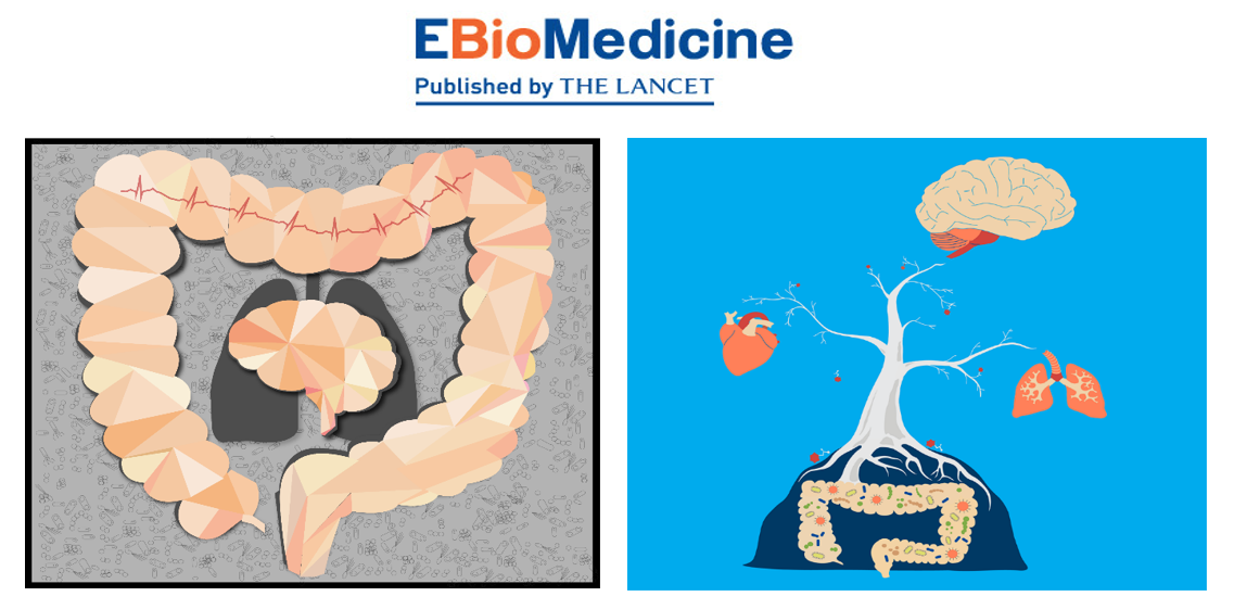 EBioMedicine Cover Art 