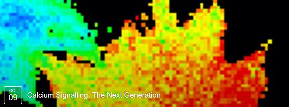 Aidan Kaar at 'Calcium Signalling: The Next Generation' meeting