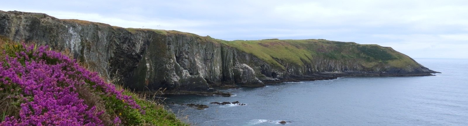 IGRM 2026  Old Head of Kinsale