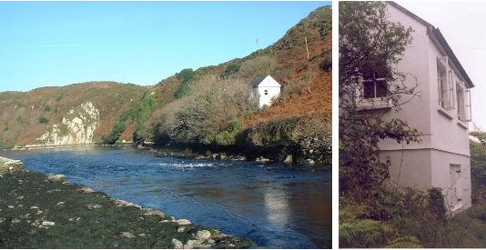 Bohane Lab, Lough Hyne