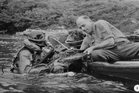 Kitching and Sloane at Lough Hyne