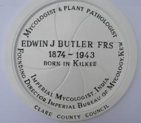 Edwin Butler Plaque, Kilkee