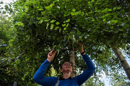 Professor Astrid Wingler, Head of Plant Science in the School of BEES, has been awarded a prestigious Fulbright Scholar Award. 