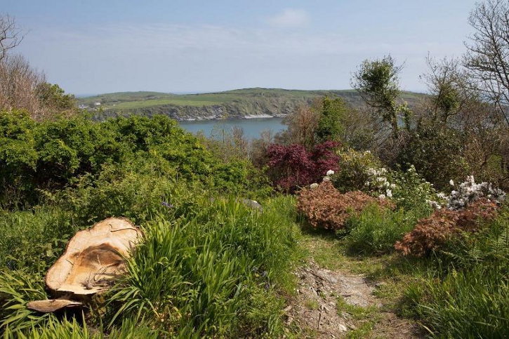 UCC team's unique project uncovers ‘hidden corners’ of West Cork