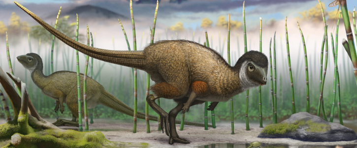 New Fossils found in Siberia suggest all dinosaurs had feathers