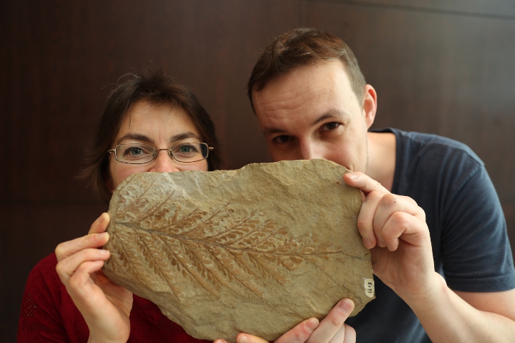 Ireland's Fossil Heritage: unlocking our secret past