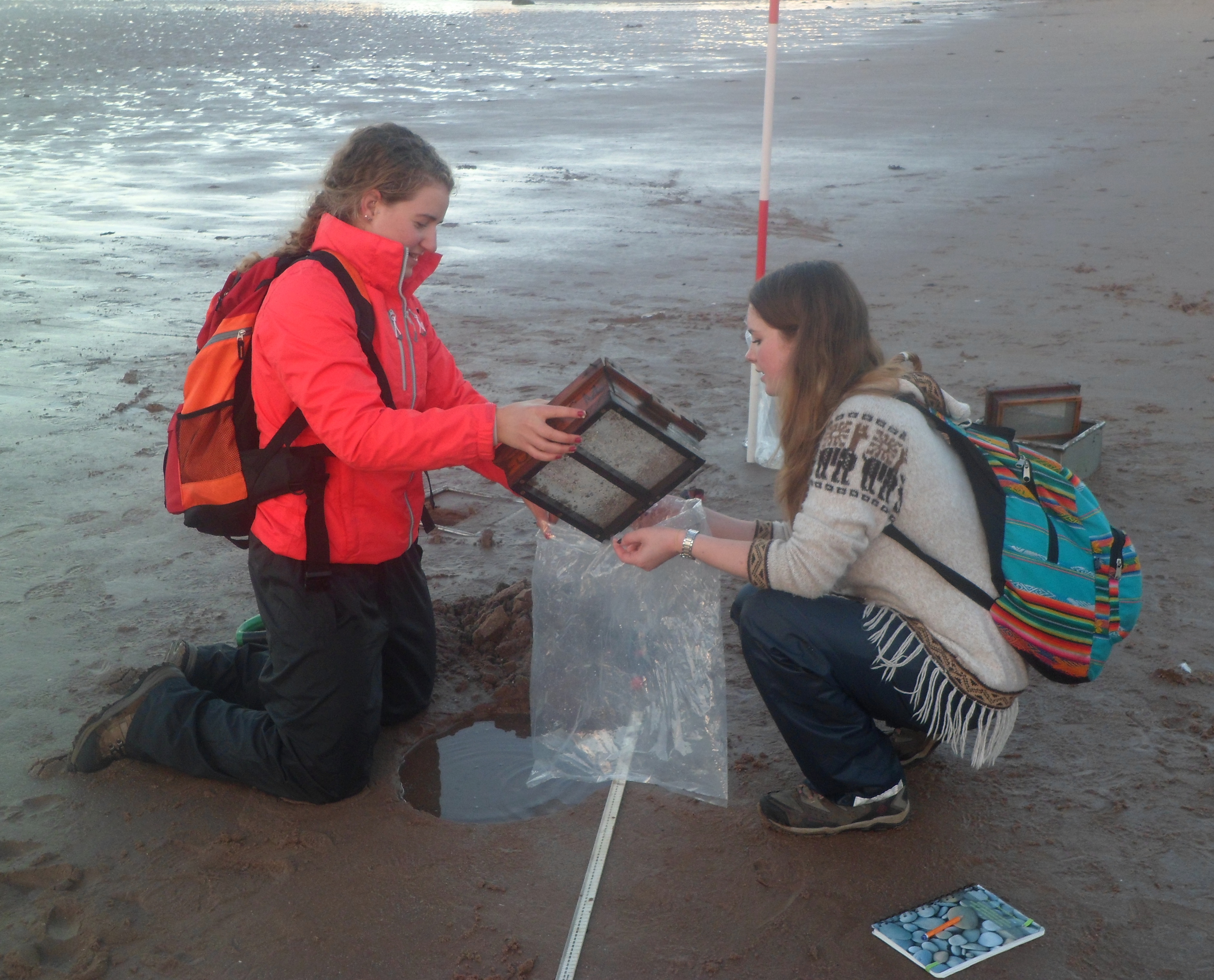 ZY4020 Temperate Marine Biology - Millport Fieldcourse