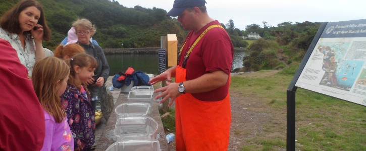 Busy Week at Lough Hyne