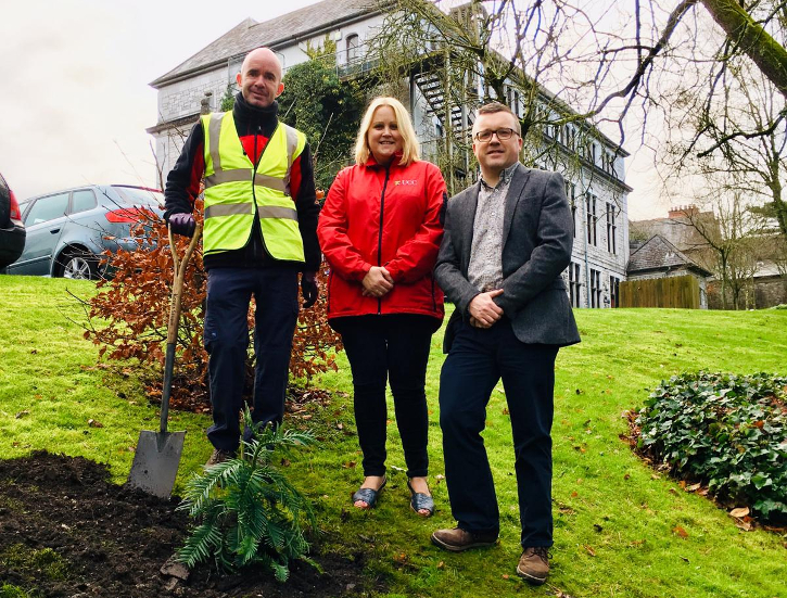 IAPB presents 'living fossil' Wollemia Pine to UCC