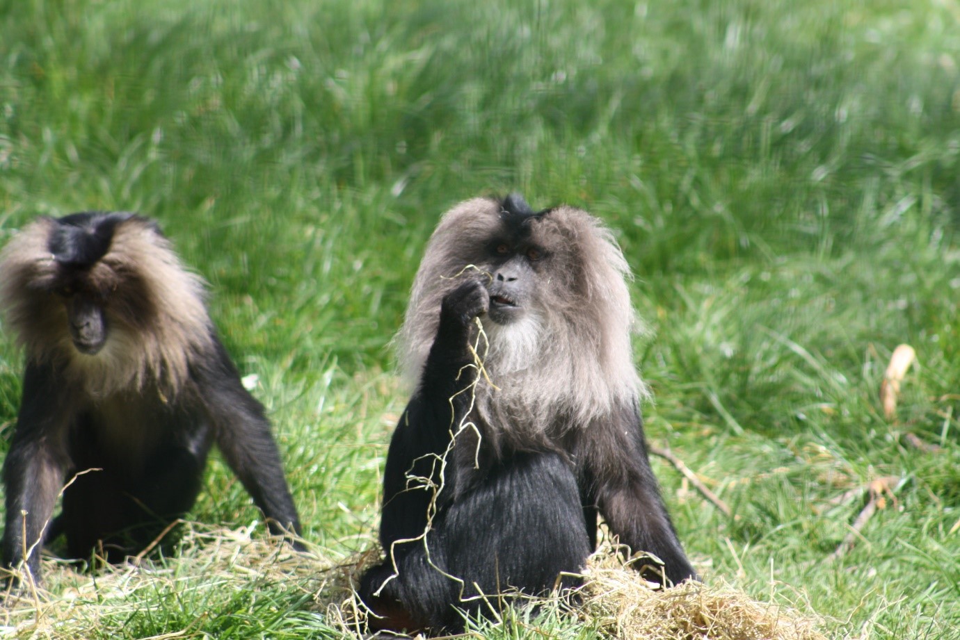 BEES Zoo Research Group participates in Cork Lifelong Learning Festival