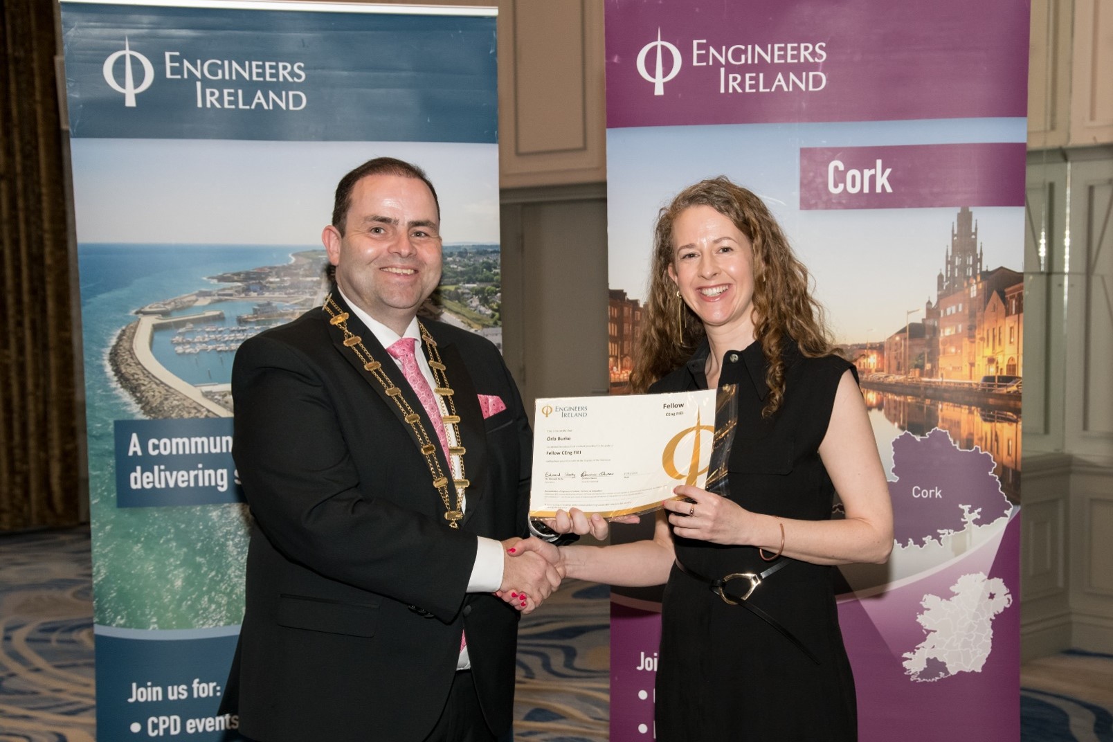 EE Graduate Conferred as Fellow of Engineers Ireland 
