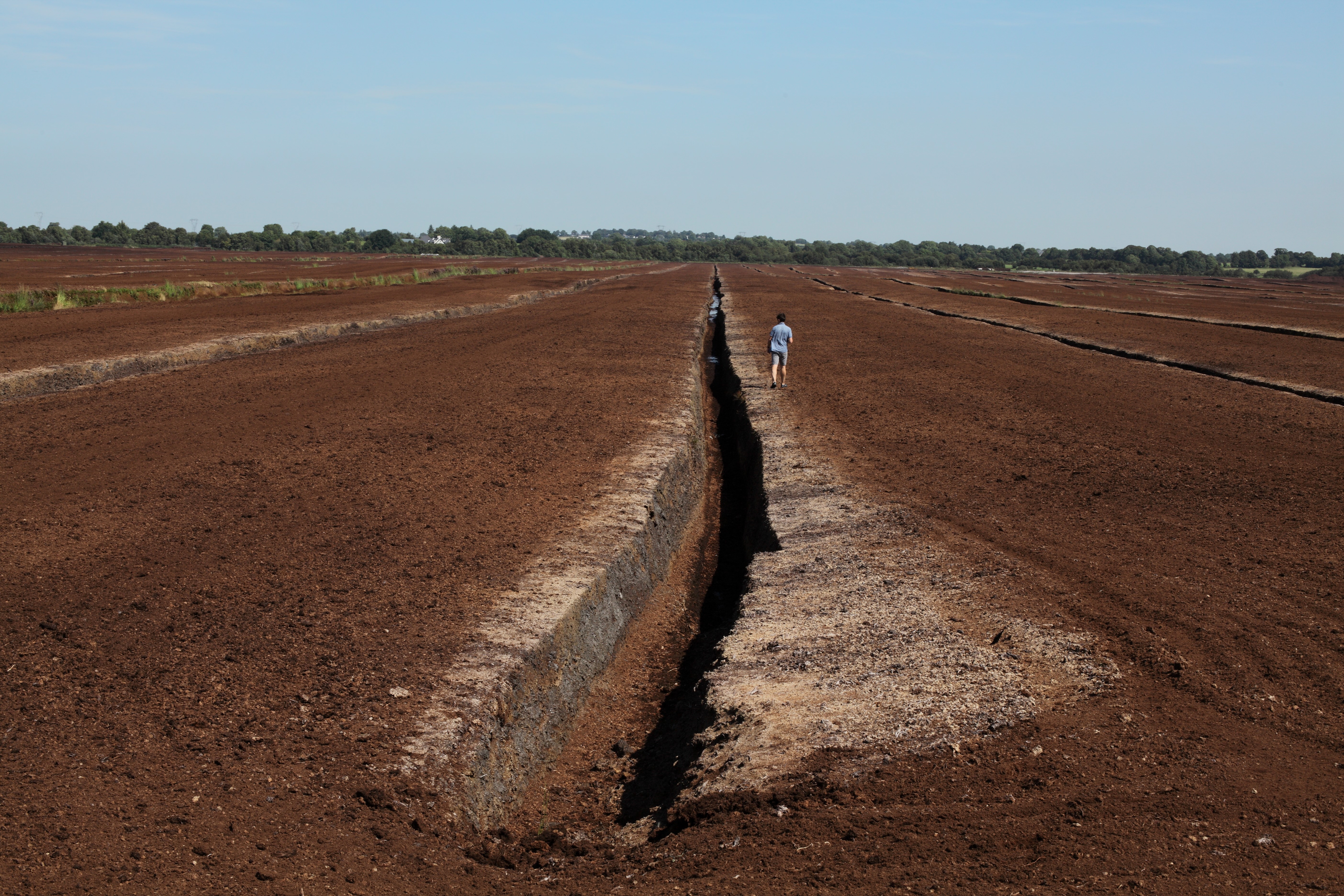 Trans-Disciplinary Conversations on Peatlands