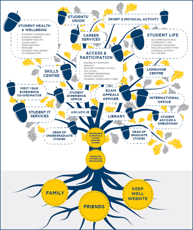 Graphic explaining the student supports in UCC