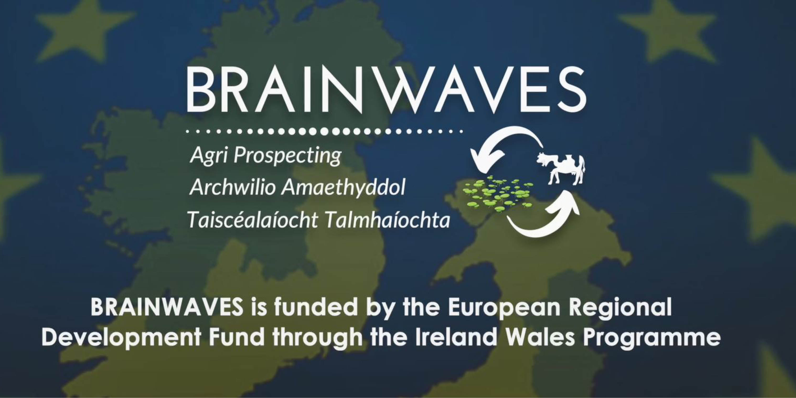 WATCH: Brainwaves researchers celebrate World Water Day