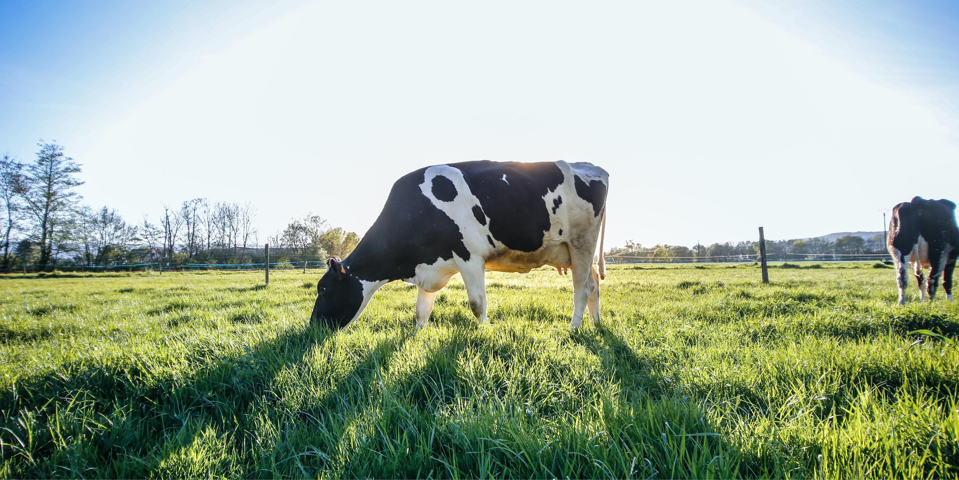 Trained Farmer Status for UCC's Agricultural Science Graduates