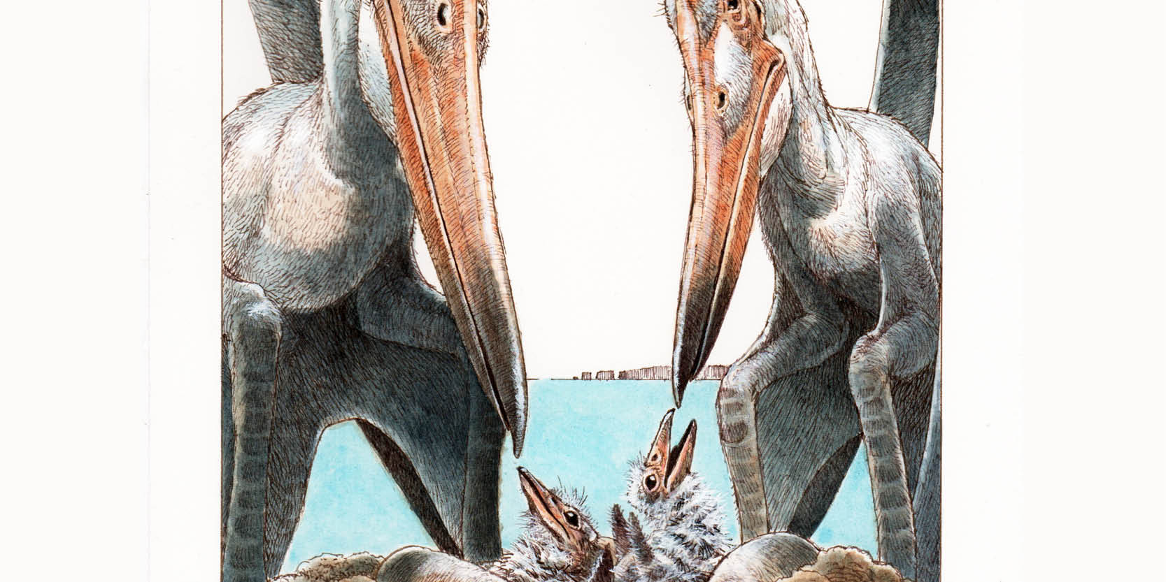 July: Pterosaurs parents, News and features