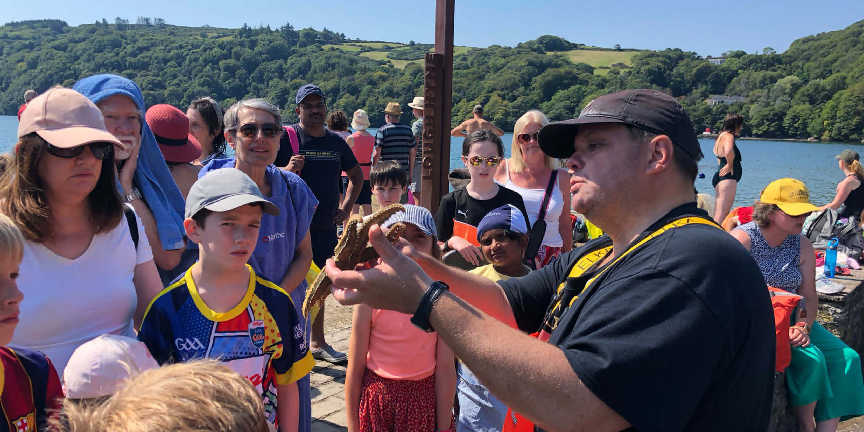 Lough Hyne Touch Tanks