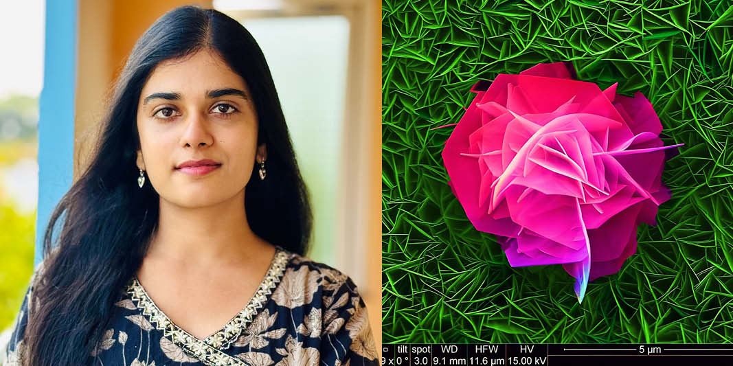 Lead author Rupa Ranjani Palanisamy, Tyndall National Institute/UCC School of Chemistry. 
Graphic: The rosette structure, which represents the formation of NiCoAl layered double hydroxide on nickel foam.
