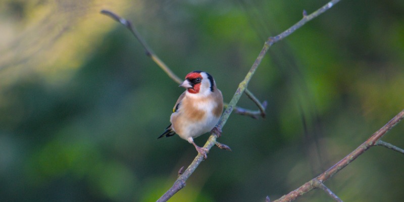 Photo: Dr Ramiro Crego