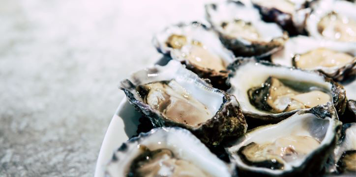 UCC shellfish project to receive government funding