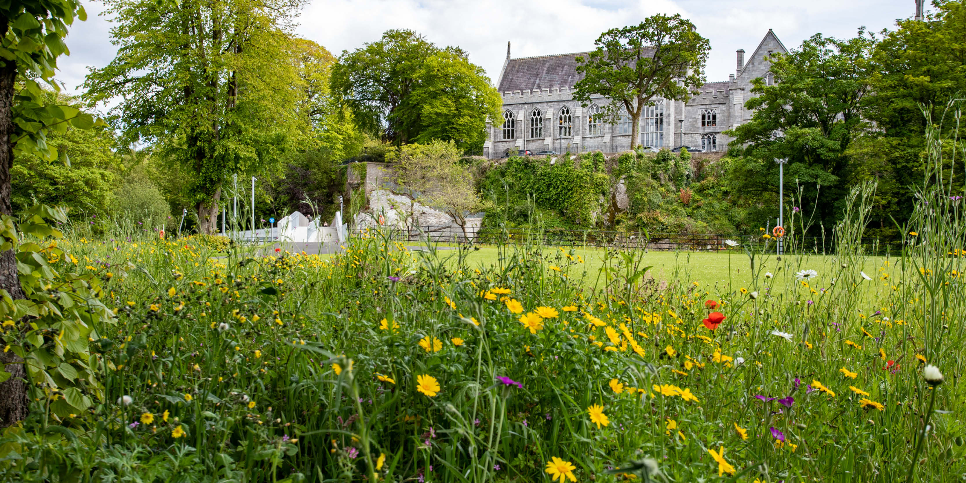 UCC ranked as one of the most ‘sustainable universities’ in the world