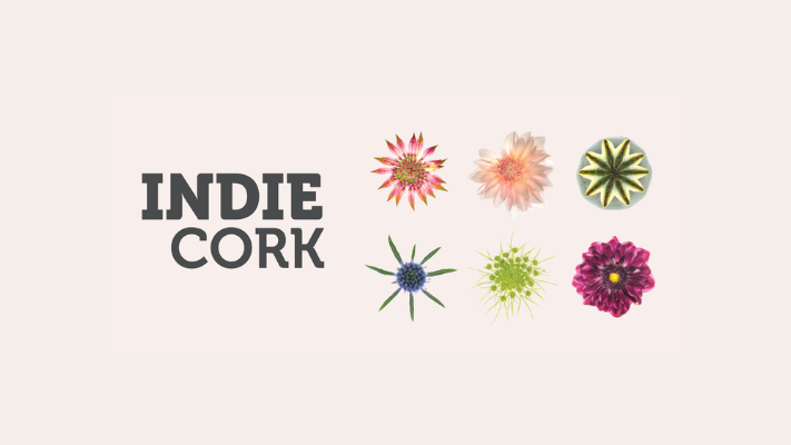 8th IndieCork Film & Music Festival