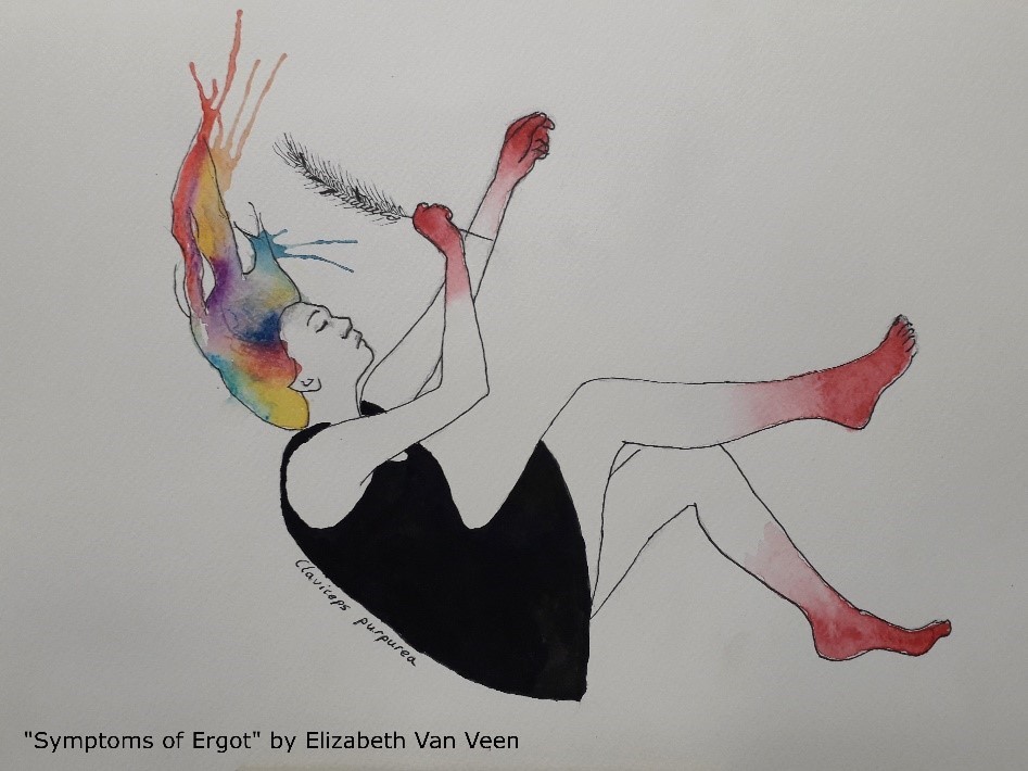 'Symptoms of Ergot' by Elizabeth Van Veen 'Symptoms of Ergot' by Elizabeth Van Veen