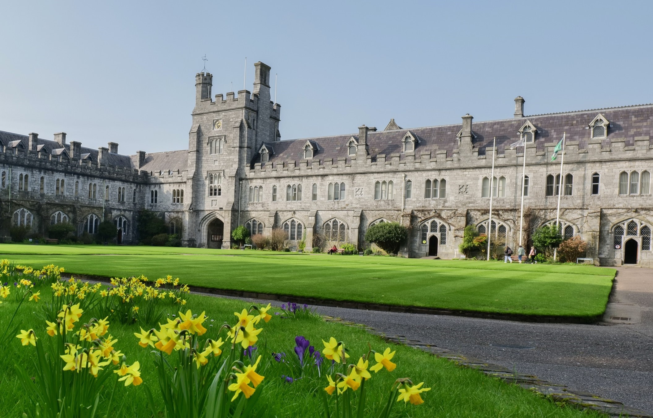 THREE CUBS RESEARCHERS WIN PRESTIGIOUS IRISH RESEARCH COUNCIL AWARDS