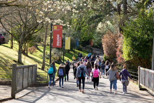 A group of students walking away from the camera up a hill