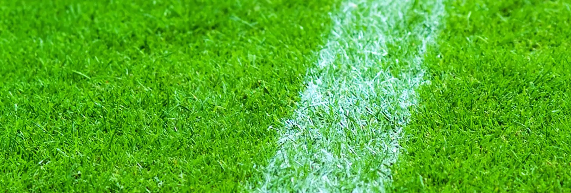 close up of a portion of a sports field