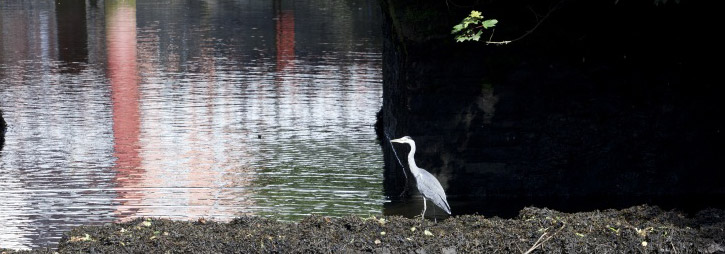 EPA Reports 