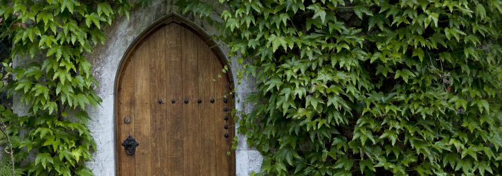 The Catholic Church and the founding of the Irish State 1914-1937